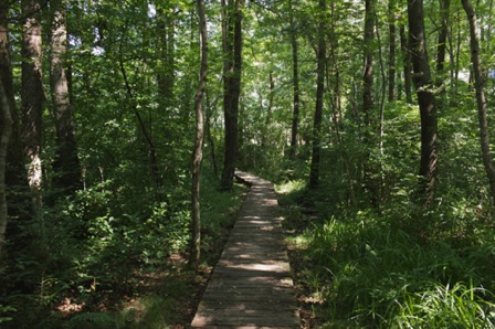 Sessa - sentiero dell'acqua ripensata (CH)